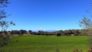 Solar en venta en Algaida