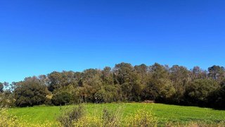 Solar en venta en Algaida