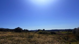 Solar en venta en Algaida