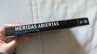 Lote de dos novelas de suspense