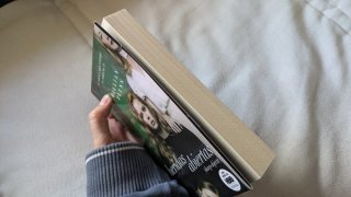 Lote de dos novelas de suspense