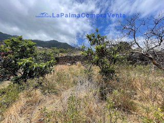 Terreno en venta en Santa Cruz de la Palma