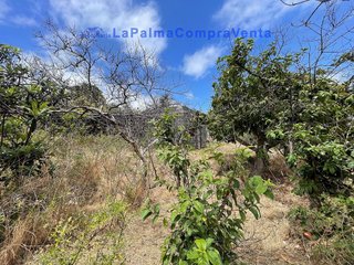 Terreno en venta en Santa Cruz de la Palma