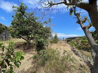 Terreno en venta en Santa Cruz de la Palma
