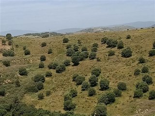 Terreno en venta en Casares