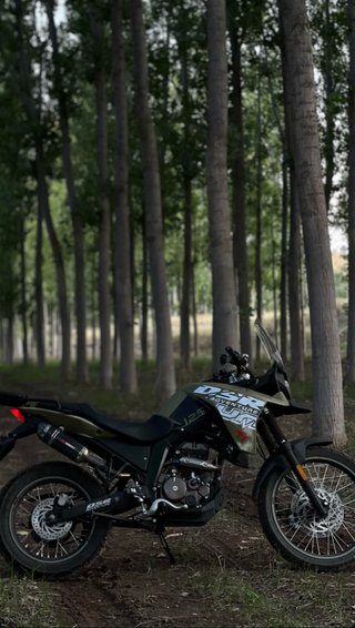 UM DSR Adventure TT 125