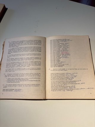 LENGUA ESPAÑOLA: historia, teoría y práctica.