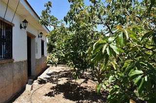 Chalet en venta en Benajarafe – Almayate en Vélez-Málaga