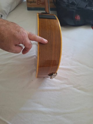 Laúd
