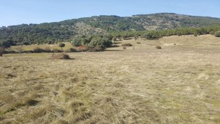 Terreno en venta en Zona Colegios en Moralzarzal