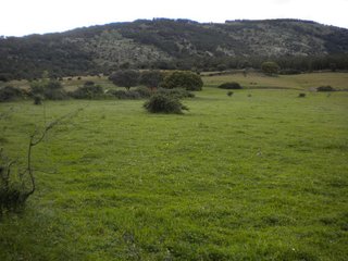 Terreno en venta en Zona Colegios en Moralzarzal