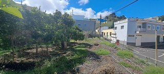 Terreno en venta en Guancha (La)