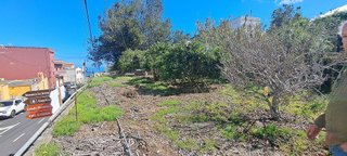 Terreno en venta en Guancha (La)