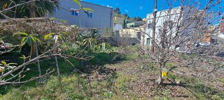 Terreno en venta en Guancha (La)