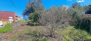 Terreno en venta en Guancha (La)