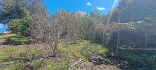 Terreno en venta en Guancha (La)