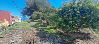 Terreno en venta en Guancha (La)