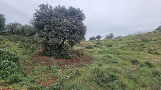 Terreno en venta en Coín