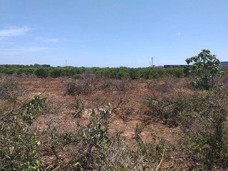 Terreno en venta en Zona Alta en Puçol