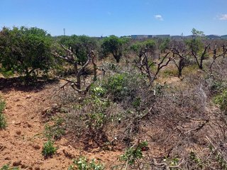 Terreno en venta en Zona Alta en Puçol