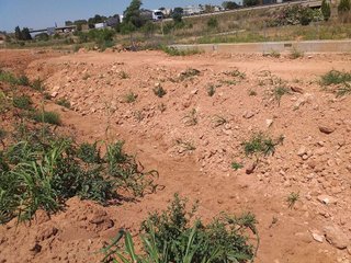 Terreno en venta en Zona Alta en Puçol