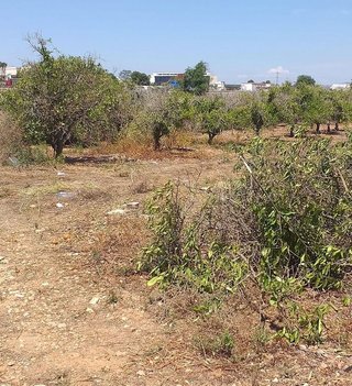 Terreno en venta en Zona Alta en Puçol