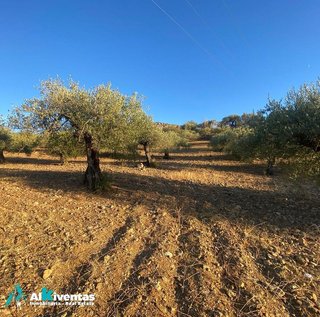 Terreno en venta en Álora