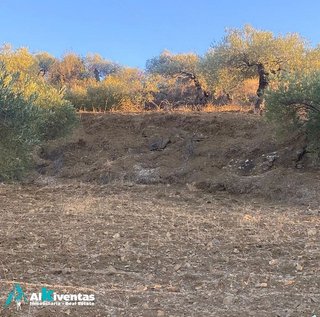 Terreno en venta en Álora