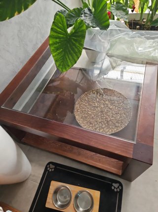 Mesa de centro madera maciza y cristal