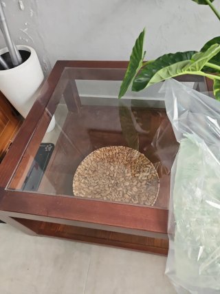Mesa de centro madera maciza y cristal