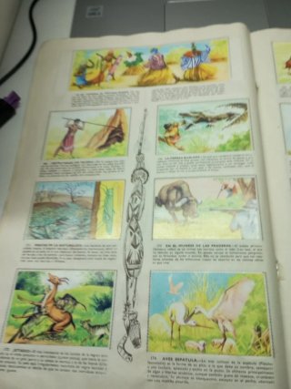 Álbum de cromos Animales