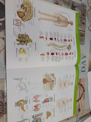 Biología i geología practiques de laboratori 3 ESO