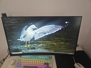 Monitor MSI Curvo Negro,24"