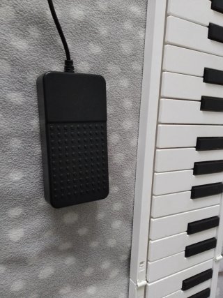 Piano portátil plegable Carry on,88 teclas táctil