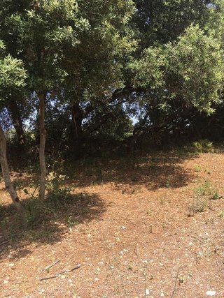 Solar en venta en Capdepera