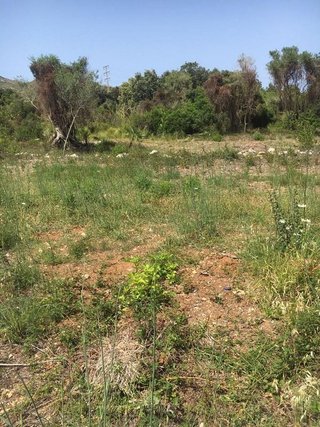 Solar en venta en Capdepera