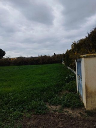 Terreno en venta en Coria del Río