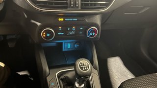 Ford Focus 1.5 Ecoblue Trend 120 CV 2020. DIESEL
