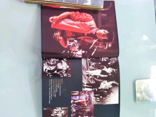 Michael Jackson Vision CD + Video Coleccionable