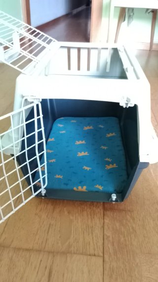 Transportín para gato o perro pequeño.
