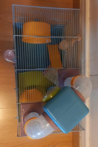 Jaula grande para hámster ruso, regalo comida...