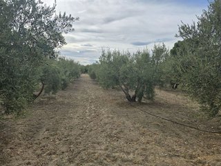 Terreno en venta en Huércal-Overa