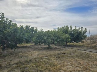 Terreno en venta en Huércal-Overa