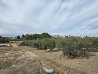 Terreno en venta en Huércal-Overa