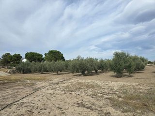 Terreno en venta en Huércal-Overa