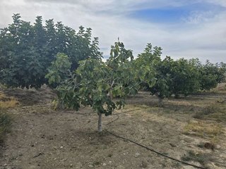 Terreno en venta en Huércal-Overa