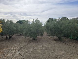 Terreno en venta en Huércal-Overa