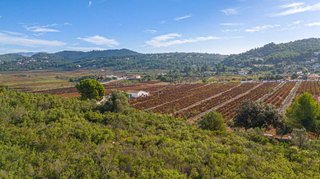 Terreno en venta en Llíber