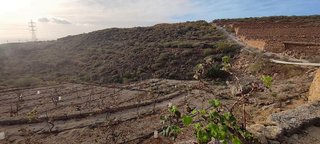Terreno en venta en Chimiche en Granadilla de Abona