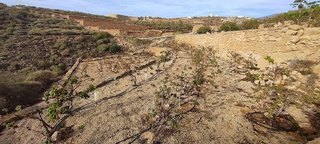 Terreno en venta en Chimiche en Granadilla de Abona